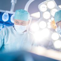 Diccionario Médico: F
